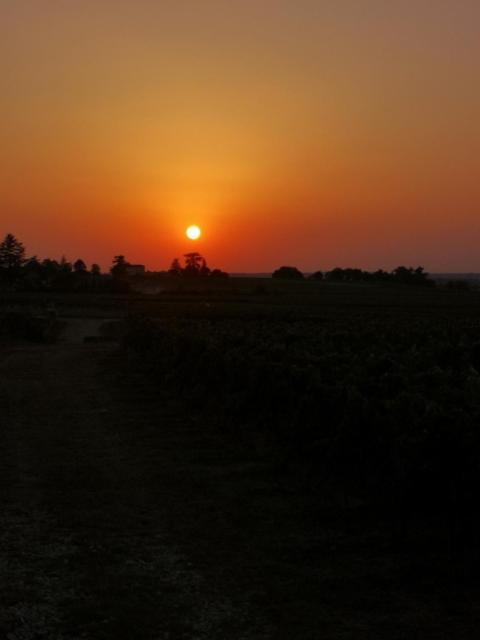 L Escale Des Vignes Gite Proche Saint Emilion Chateau Beynat Villa Buitenkant foto