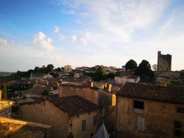 L Escale Des Vignes Gite Proche Saint Emilion Chateau Beynat Villa Buitenkant foto